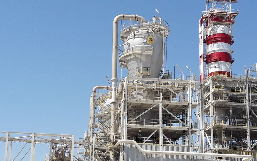 Verifica di sicurezza sismica di una struttura in acciaio di impianto industriale